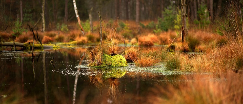 Umweltschutz – aber mit Humor