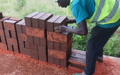 Die Steinemaschine kommt zum Einsatz!